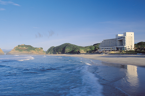 種子島岩崎酒店