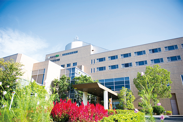 白山泰瑞絲達飯店