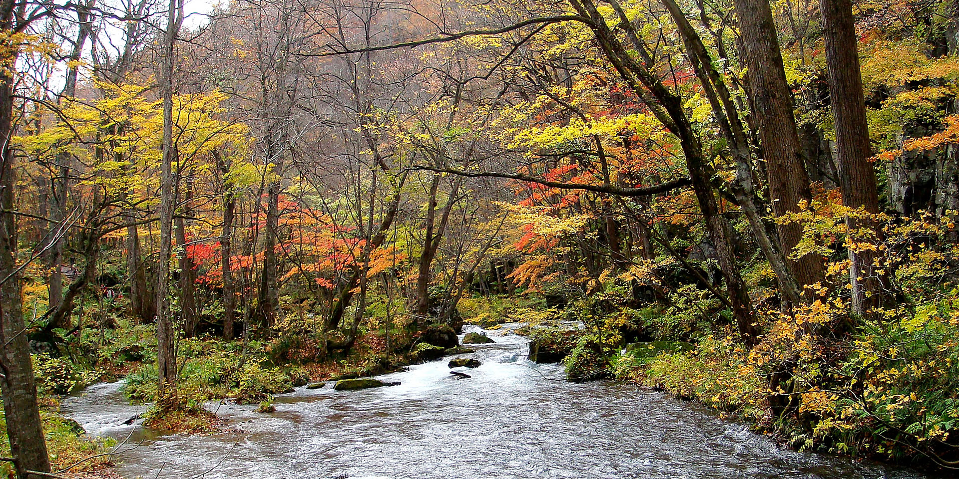 奧入瀨溪