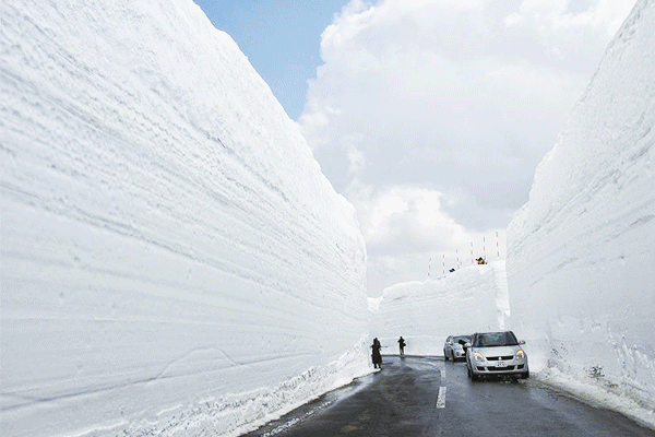 八甲田雪之迴廊